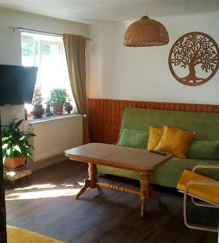 Apartment Friday