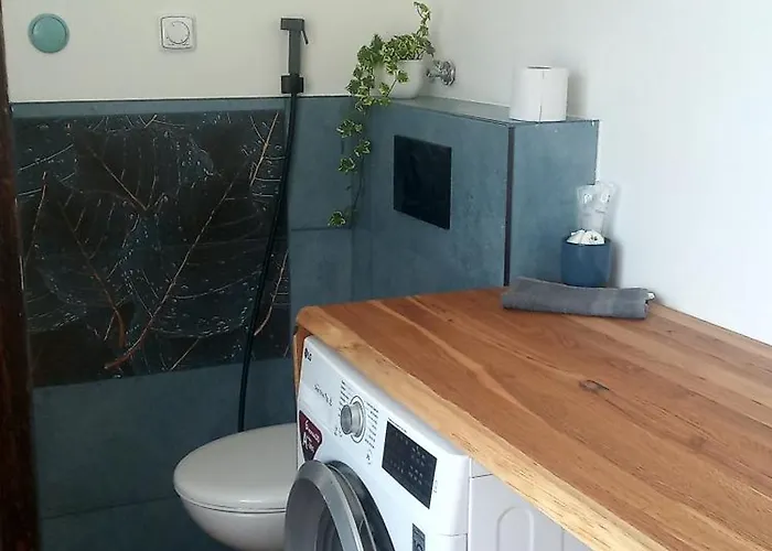 Friday Apartment