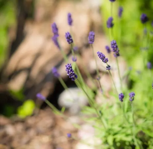 Διαμέρισμα Friday *